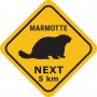 tee-shirt roasdsign marmotte