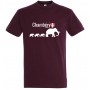 tee-shirt Chambéry Savoie éléphants