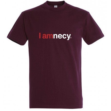 tee-shirt i amnecy