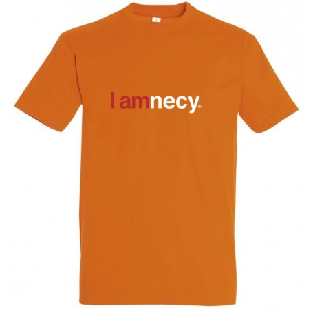 tee-shirt i amnecy