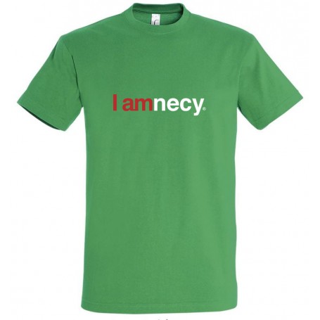 tee-shirt i amnecy